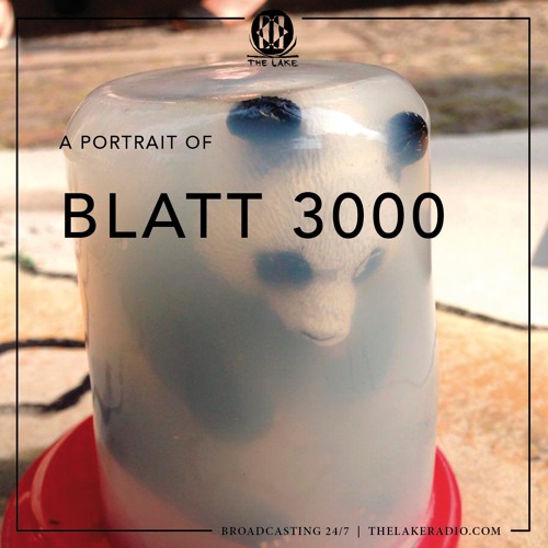 A portrait of BLATT 3000